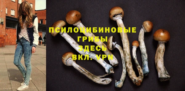 марки nbome Алексеевка